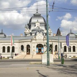 mujeg_7-360×273 mujeg